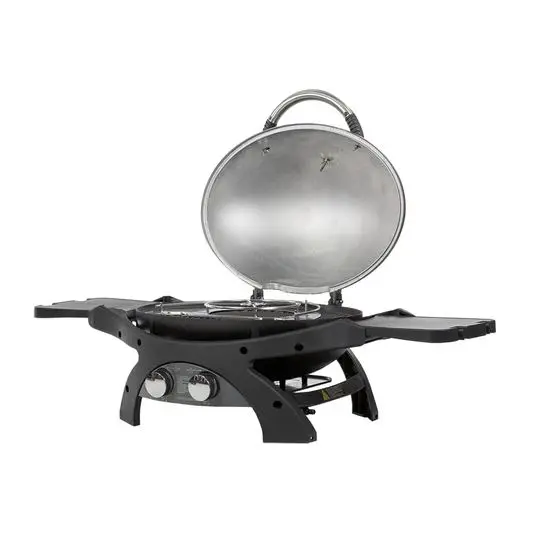 Pit Boss Sportsman 2B Portable Gas Grill 1