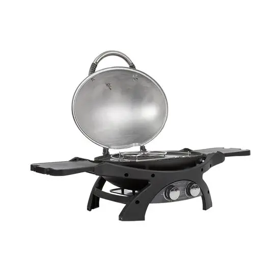 Pit Boss Sportsman 2B Portable Gas Grill 2