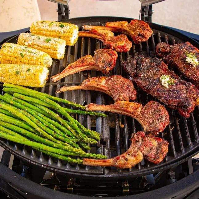 Pit Boss Sportsman 2B Portable Gas Grill 32