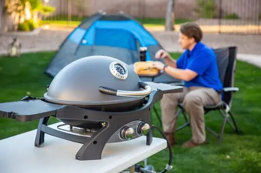 Pit Boss Sportsman 2B Portable Gas Grill 4