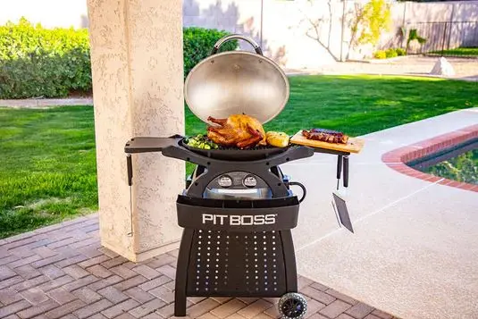 Pit Boss Sportsman 2B Portable Gas Grill 5