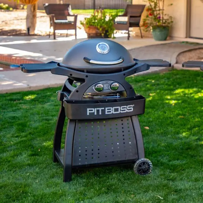Pit Boss Sportsman 2B Portable Gas Grill 5111