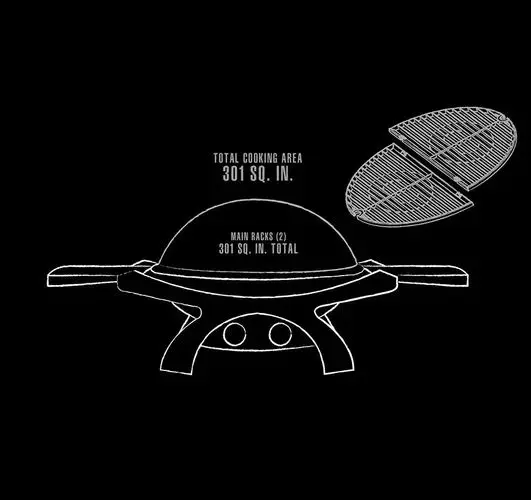 Pit Boss Sportsman 2B Portable Gas Grill 6